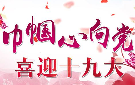  漲知識！咋從8900萬黨員中選出2300名十九大代表？