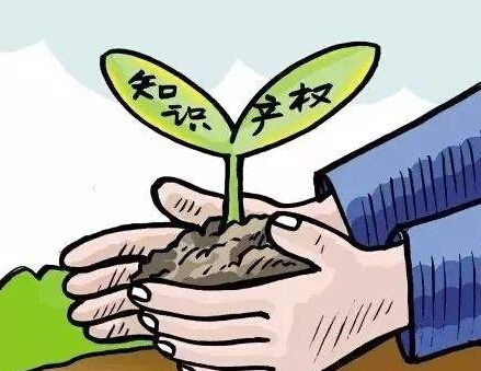 中國專利保護協(xié)會《報告》：AI專利申請量 中、美、日分列前三